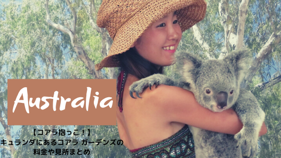 コアラと抱っこ撮影 キュランダのコアラ ガーデンズ ケアンズ観光