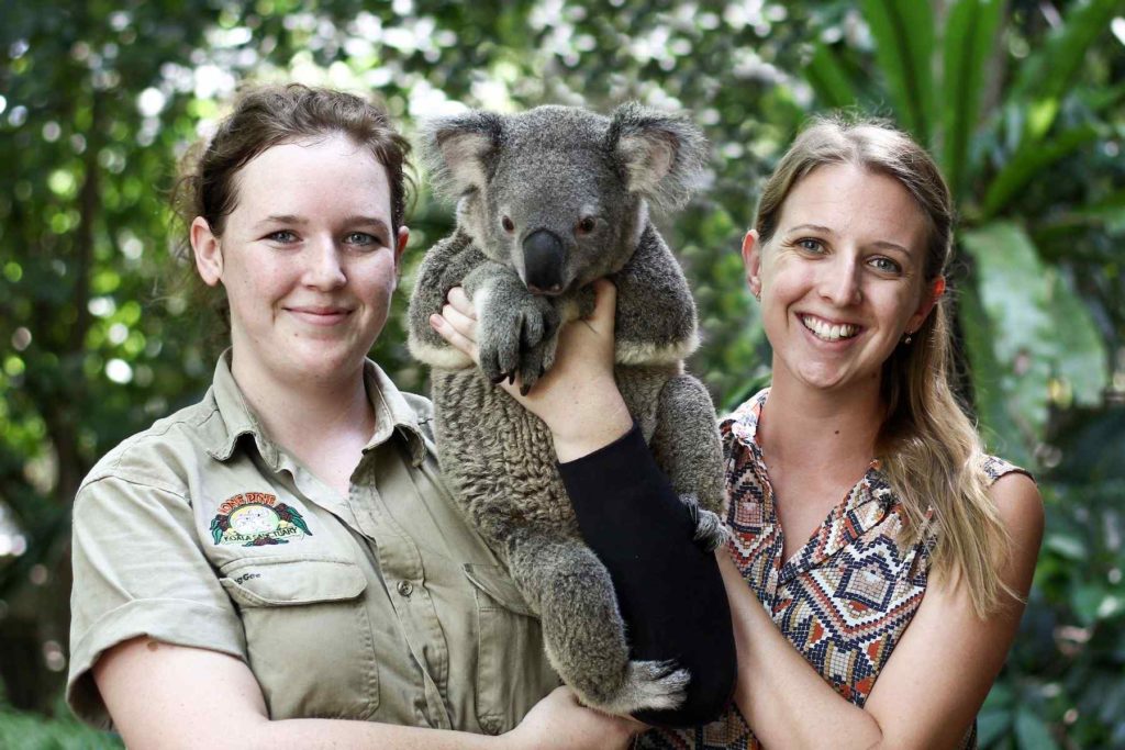 悩殺 オーストラリアでコアラを抱っこできる動物園 11選
