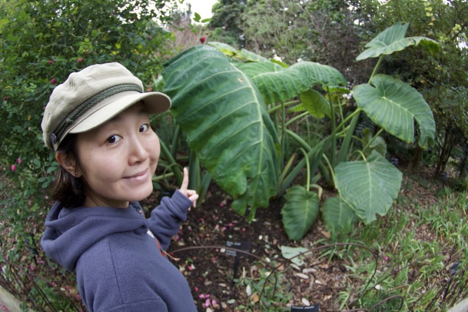 Royal Botanic Gardens(ロイヤル・ボタニック・ガーデンズ)