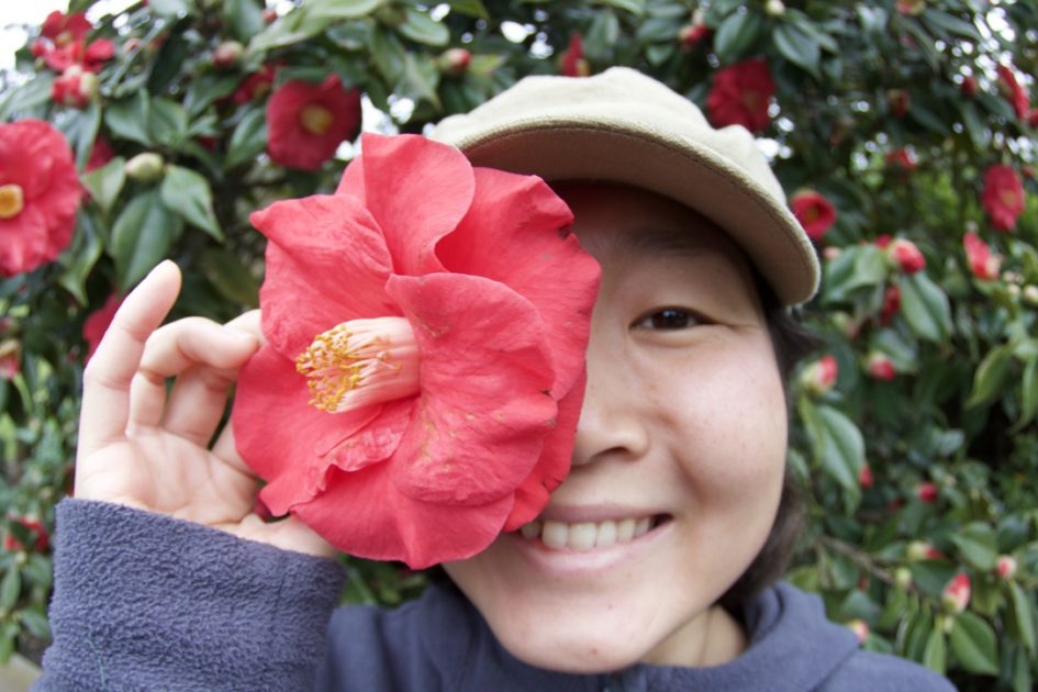 Royal Botanic Gardens(ロイヤル・ボタニック・ガーデンズ)
