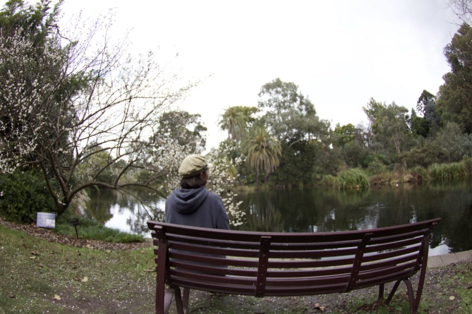 Royal Botanic Gardens(ロイヤル・ボタニック・ガーデンズ)